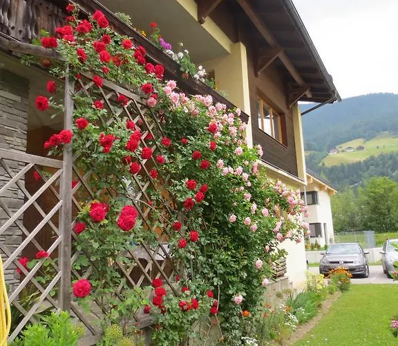 Haus Mitti ハインフェルス